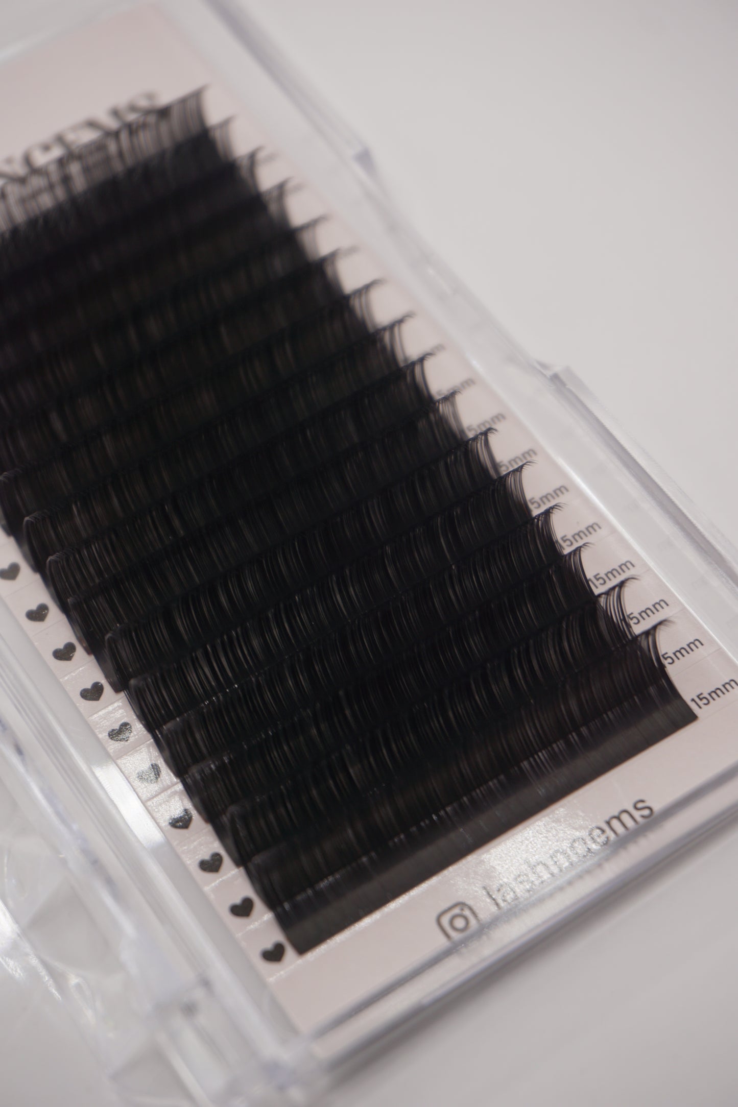 CASHMERE MINK TRAYS Dcurl